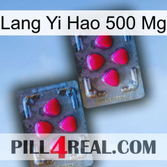 Lang Yi Hao 500 Mg 14